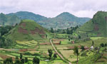 araku view